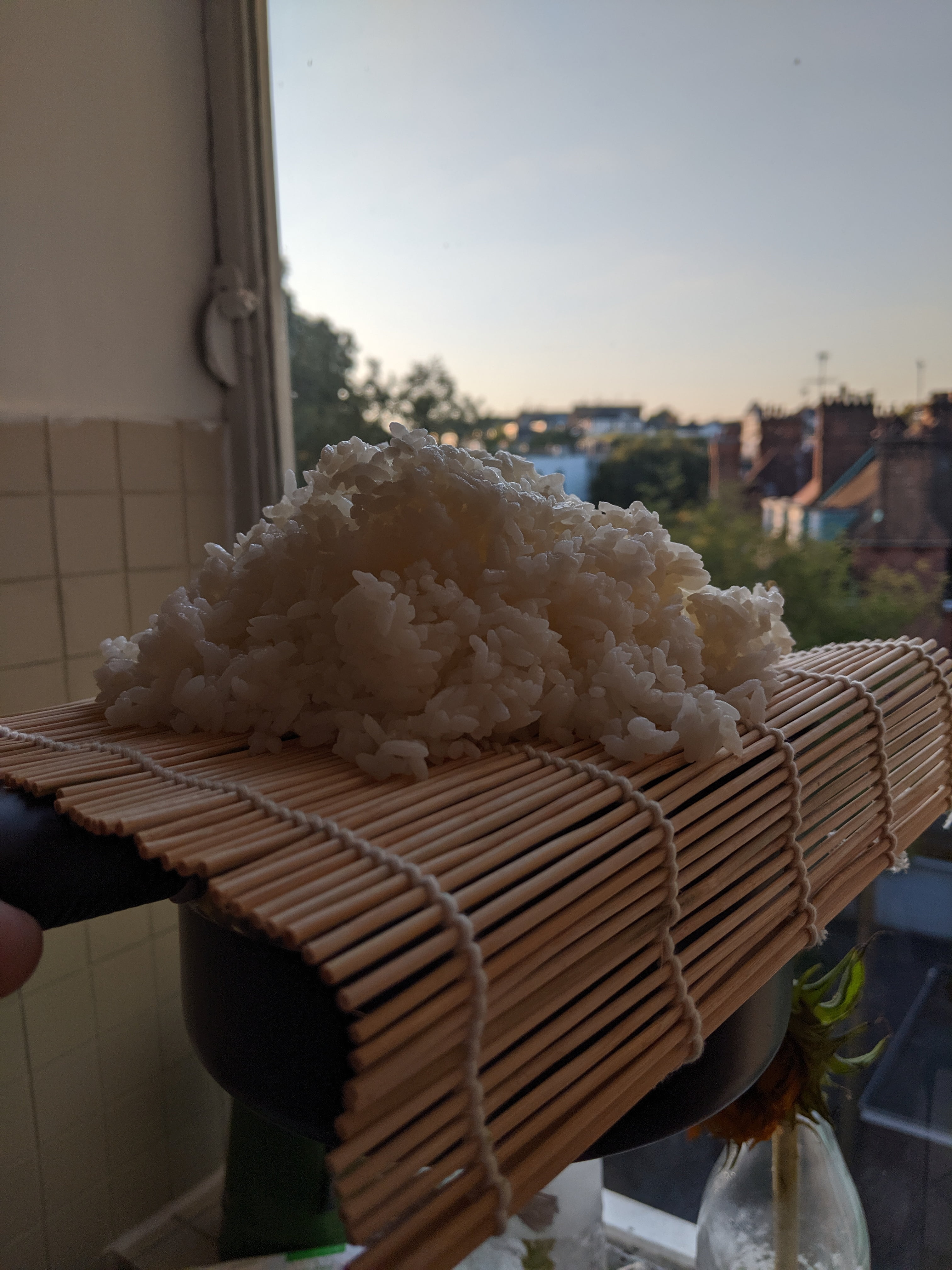 Täydellisen sushiriisin säilytys: Vinkit, joilla makuelämys jatkuu.