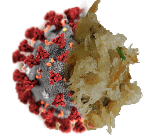 Halloweenin Kotoisa Sushi-ilta: Ylellistä tunnelmaa kotona